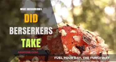 Magic Mushrooms: Berserkers' Ancient Source of Power