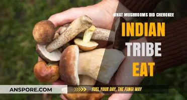 Cherokee Culinary Traditions: Exploring Edible Mushrooms in Their Ancient Diet