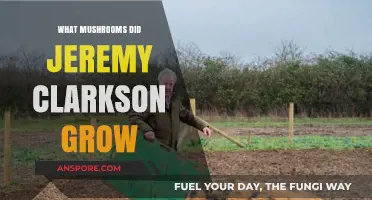 Jeremy Clarkson's Mushroom Farm: Unveiling His Fungal Cultivation Secrets