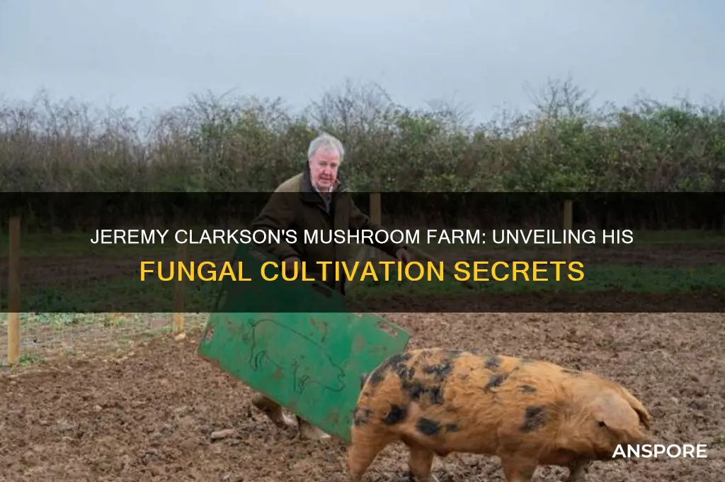 what mushrooms did jeremy clarkson grow