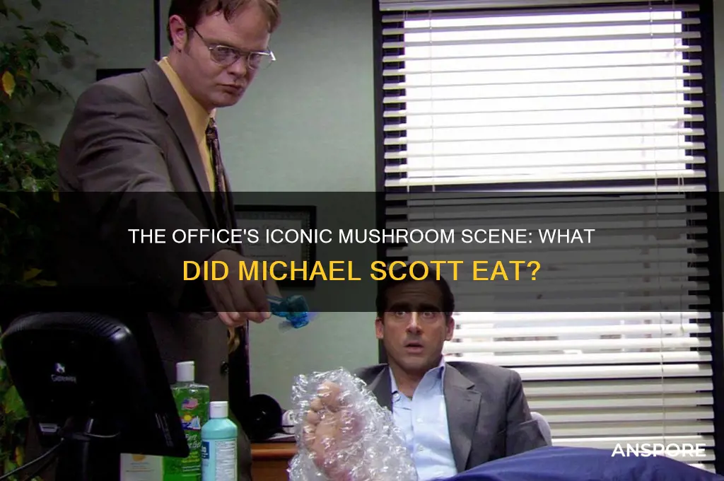 what mushrooms did micheal eat on the office
