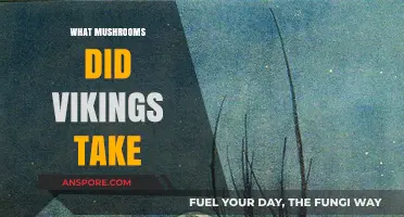 Viking Mushroom Trips: Hallucinating with the Ancients