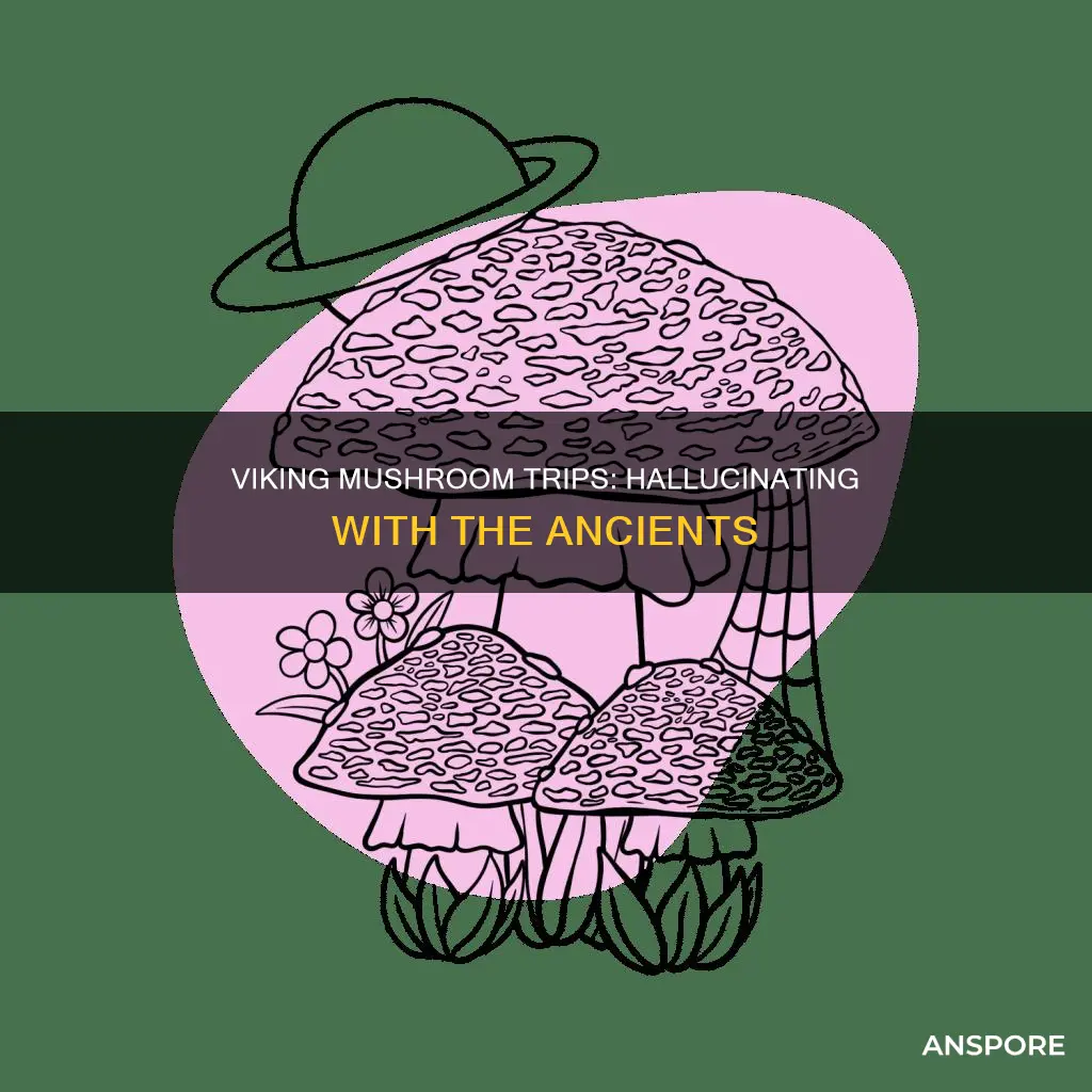 what mushrooms did vikings take