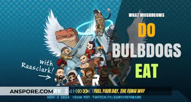 What Mushrooms Do Bulbdogs Eat: A Safe Foraging Guide