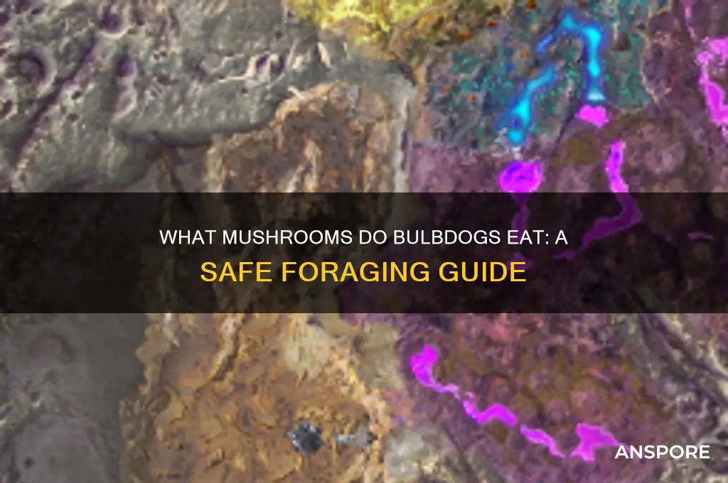 what mushrooms do bulbdogs eat