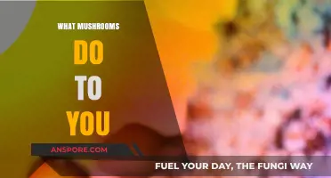 Mushrooms: Superfood or Super-trippy?