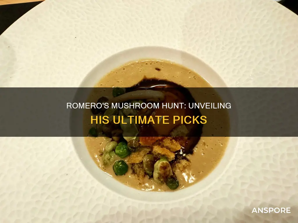 what mushrooms does romero want