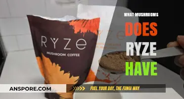 Ryze's Mushroom Menu: A Comprehensive Guide