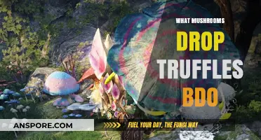 Mushroom Hunting: Truffles and BDO