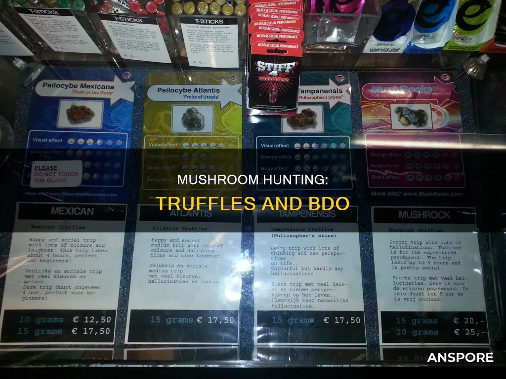 what mushrooms drop truffles bdo