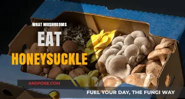 Do Mushrooms Eat Honeysuckle? Exploring Fungal-Plant Interactions in Nature