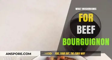 Mushroom Magic: Beef Bourguignon's Perfect Fungi Partners