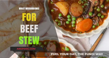 Best Mushrooms for Beef Stew: A Guide
