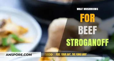 Best Mushrooms for Beef Stroganoff: A Guide