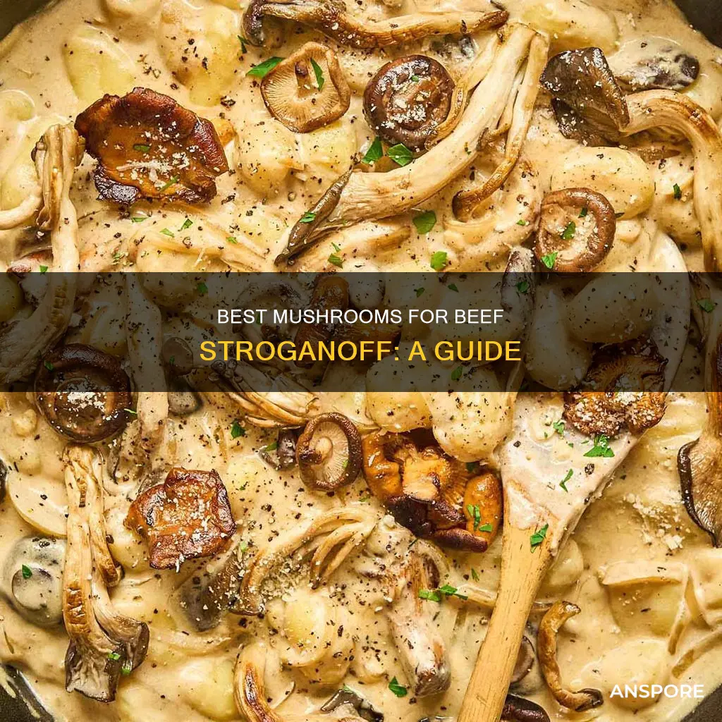 what mushrooms for beef stroganoff