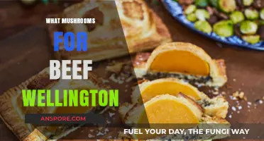 Mushroom Magic for Beef Wellington Perfection