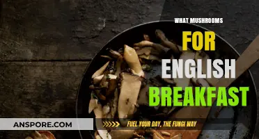 Mushroom Varieties for a Classic English Breakfast