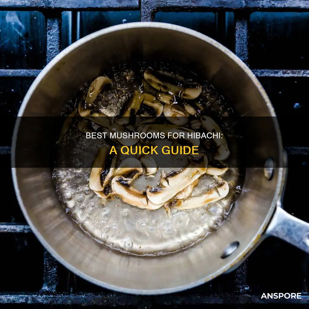 what mushrooms for hibachi