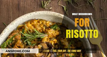 Mushroom Risotto: Picking the Perfect Fungi