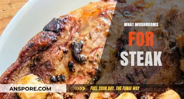 Best Mushrooms to Pair with Steak