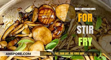 Stir Fry Mushroom Magic: Which Types to Use?