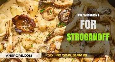 Best Mushrooms for Stroganoff: A Quick Guide