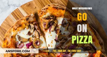 Mushroom Pizza Toppings: Best Types and Combinations