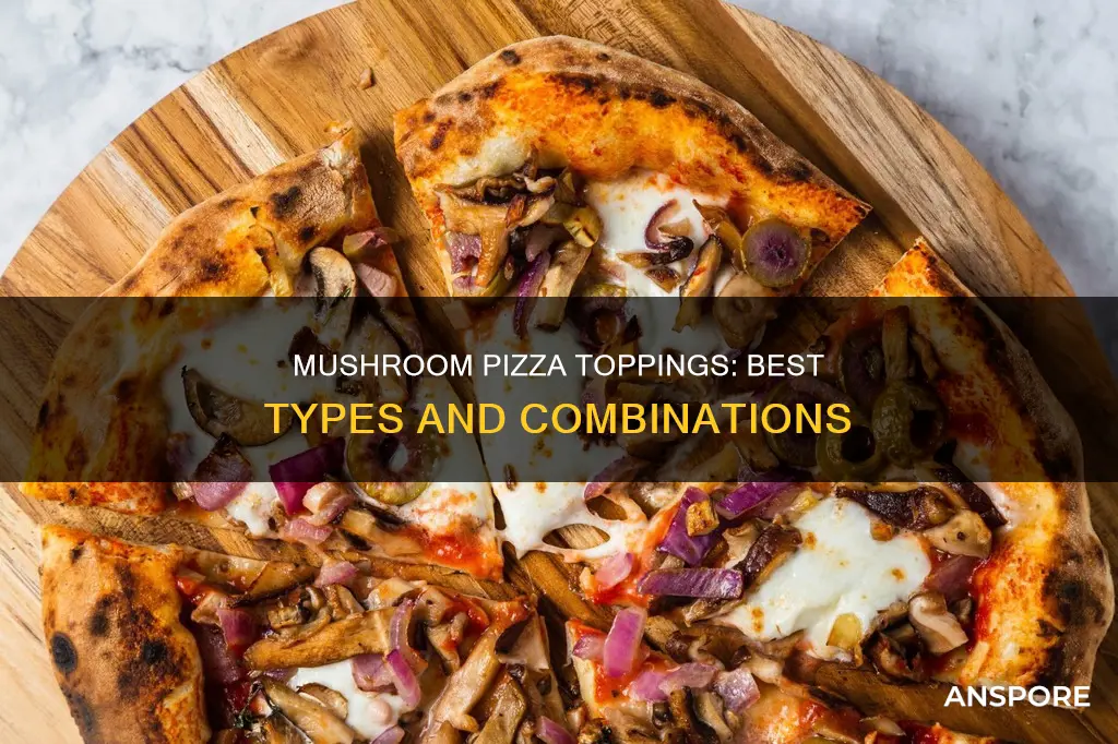 what mushrooms go on pizza