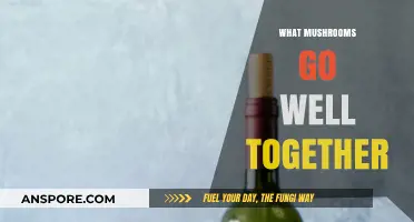 Best Mushroom Combos: Creating Delicious Flavor Profiles