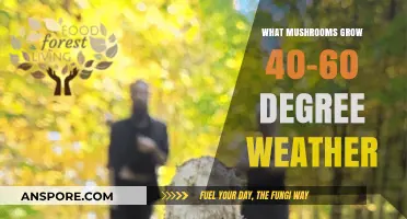 Cool-Weather Mushrooms: Varieties Thriving in 40-60 Degree Temperatures