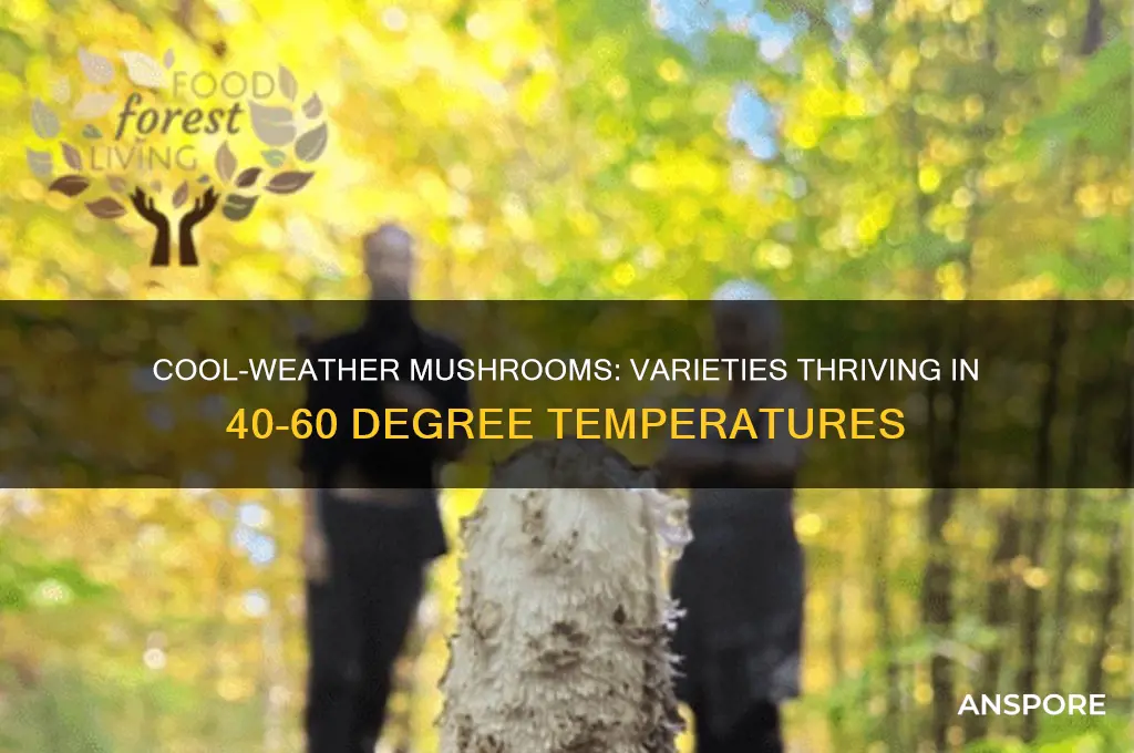 what mushrooms grow 40-60 degree weather