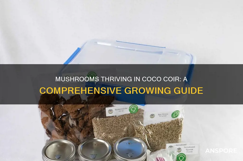 what mushrooms grow in coco coir