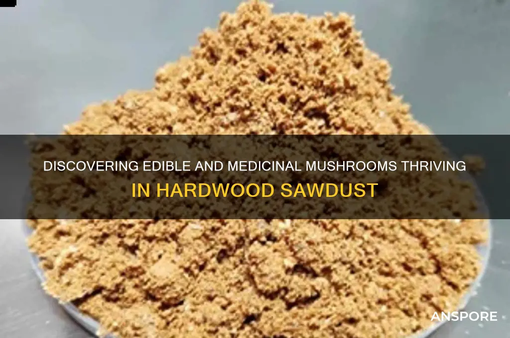 what mushrooms grow in hardwood sawdust