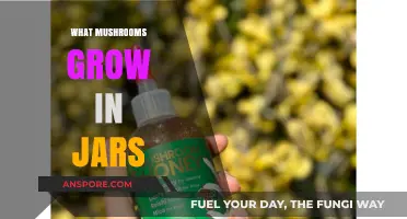 Discovering Edible Mushrooms That Thrive in Jars at Home