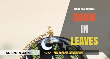 Discovering Leaf-Loving Mushrooms: Species That Thrive in Decaying Leaves