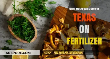 Texas Mushrooms Thriving on Fertilizer: A Guide to Local Varieties