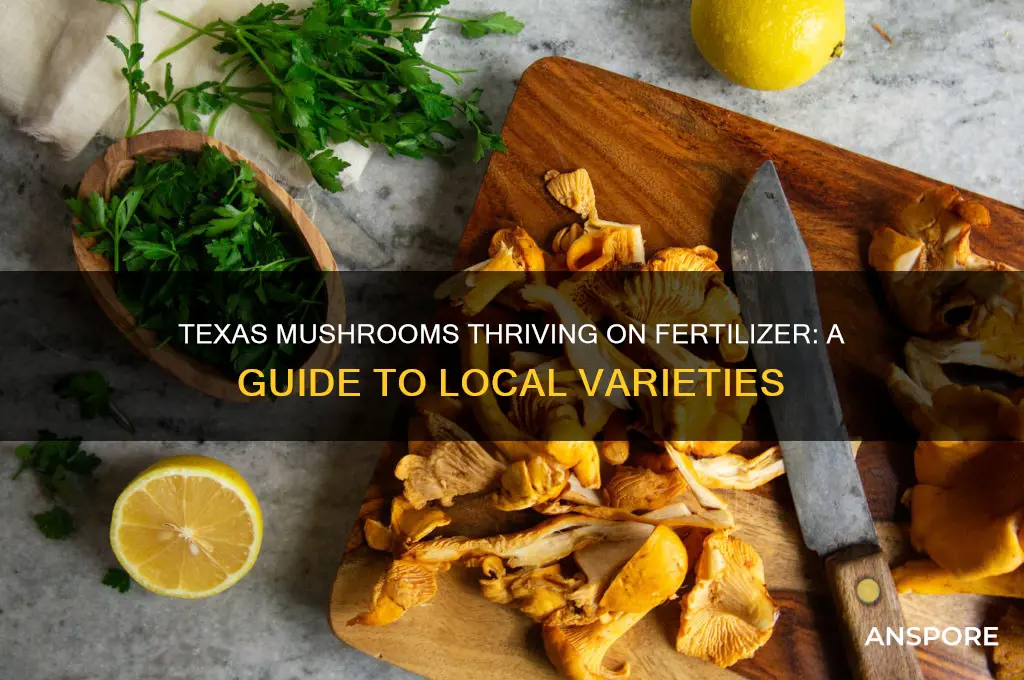 what mushrooms grow in texas on fertilizer
