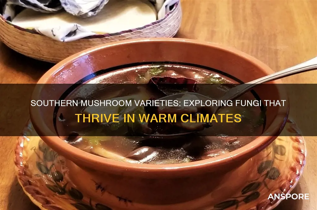 what mushrooms grow in the south
