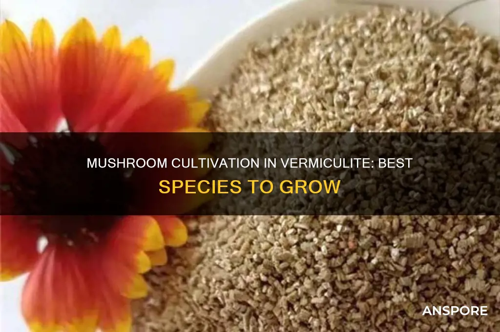 what mushrooms grow in vermiculite
