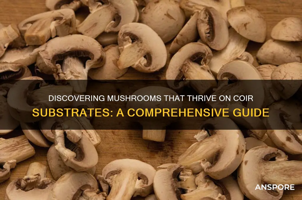 what mushrooms grow on coir