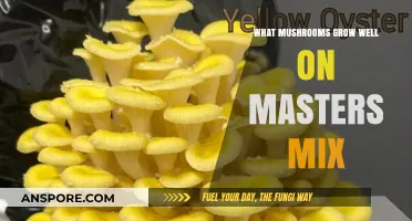 Best Mushrooms to Cultivate on Master's Mix Substrate