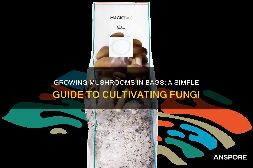 what mushrooms growing in bags