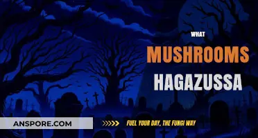 Mushroom Magic: Hagazussa's Fungi Friends
