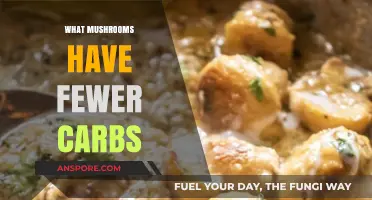 Mushroom Carb Count: Low-Carb Fungi Options