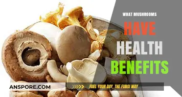 Mushrooms: Nature's Superfood for Your Health