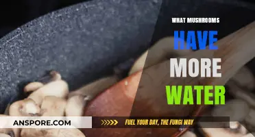 Mushrooms: Which Ones Are the Juiciest?