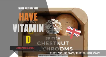 Mushroom Magic: Vitamin D Sources