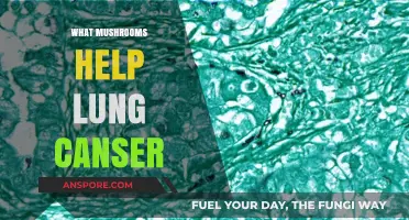 Mushrooms for Lung Cancer: Natural Allies