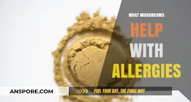 Mushrooms: Natural Allies Against Allergies