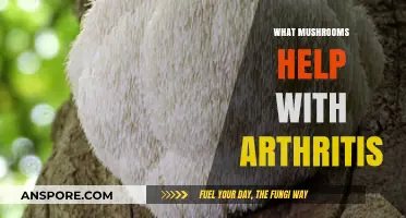 Mushrooms' Magic: Natural Relief for Arthritis Sufferers